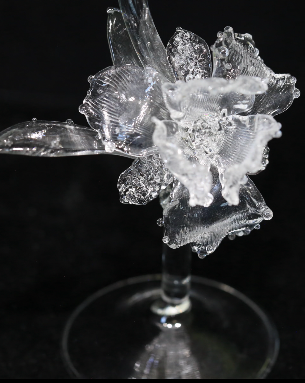 Bougeoir en verre Iris — Décoration d'intérieur faite main — AmberoOasis × SHIMENG拾梦