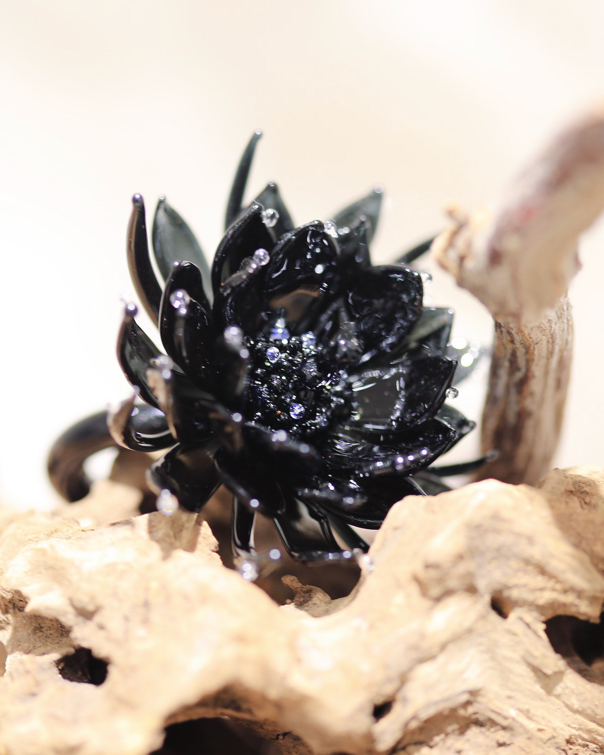 	
Side close-up of hand-fired black glass epiphyllum ring on driftwood background