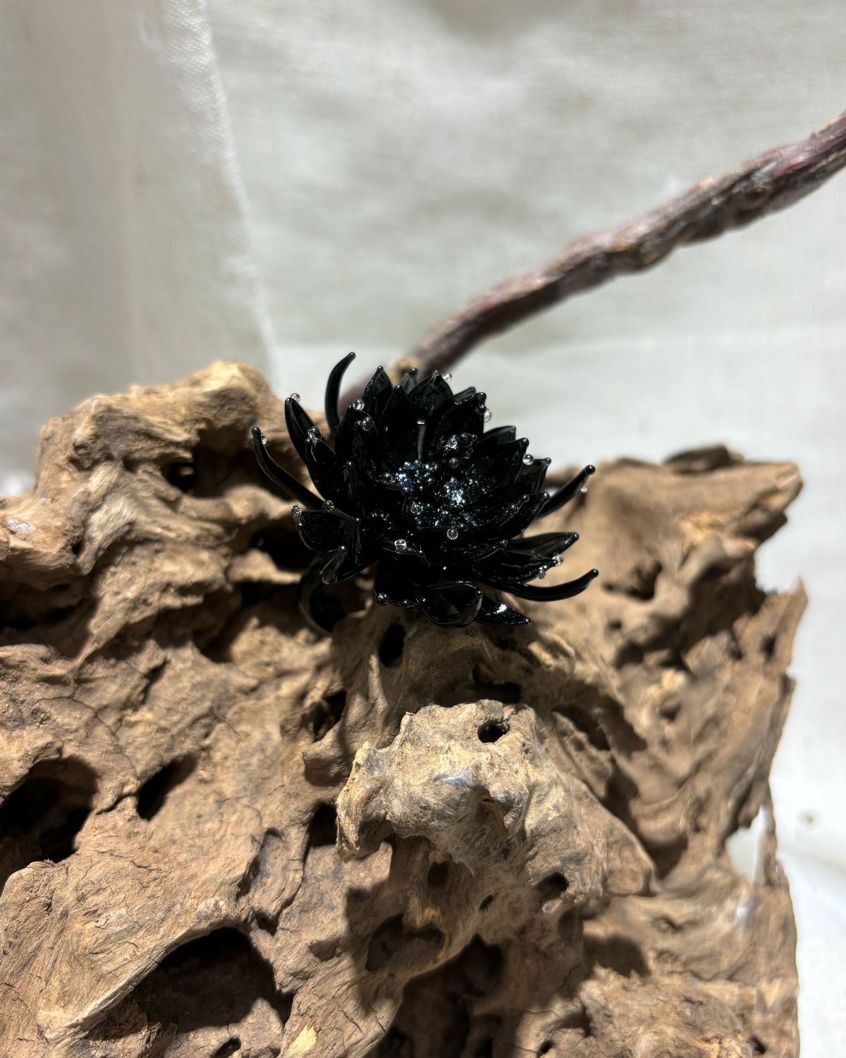 Black epiphyllum glass ring still life shot with dark aesthetic vibe