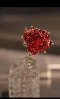 Glass Rose